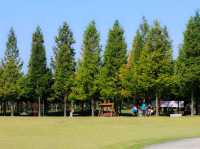 가을바람 따라 걷는 길, 목포 삼학도 여행