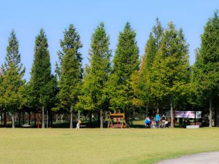 Walking along the autumn breeze, Mokpo Samhakdo trip