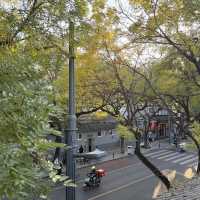 🇨🇳가을무드 가득한 베이징 감성카페