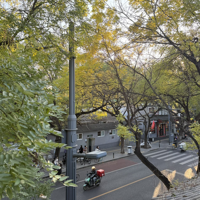 🇨🇳가을무드 가득한 베이징 감성카페 🇨🇳가을무드 가득한 베이징 감성카페