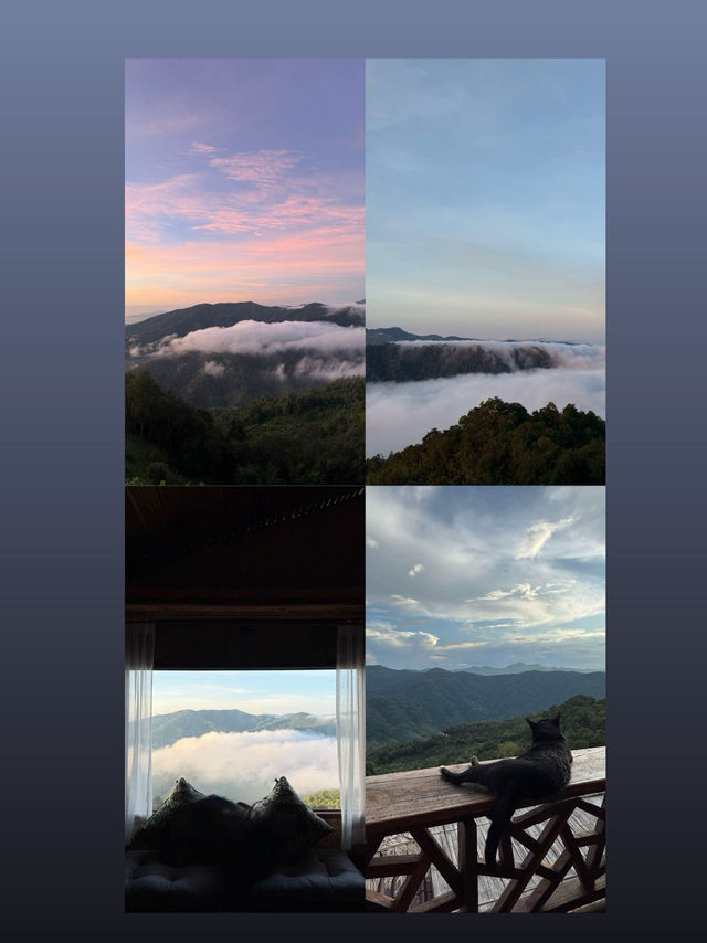 บ้านซุกกิ๊กโฮมสเตย์ห้วยกุ๊บกั๊บอ.แม่แตงจ.เชียงใหม่ บ้านซุกกิ๊กโฮมสเตย์ห้วยกุ๊บกั๊บอ.แม่แตงจ.เชียงใหม่