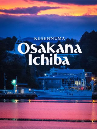 🐟 여전히 시원한 빛 아래 있는 도시