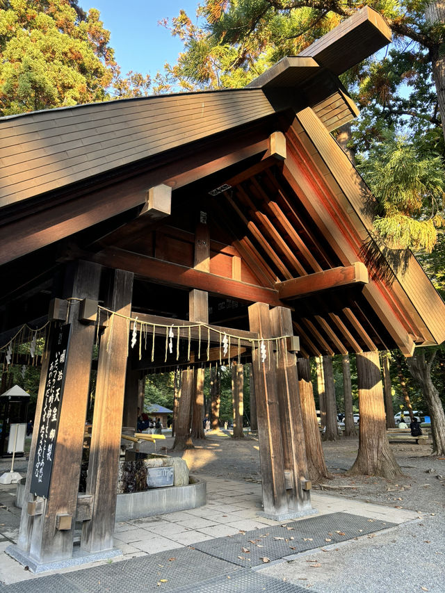 日本北海道參拜必去—北海道神宮⛩️