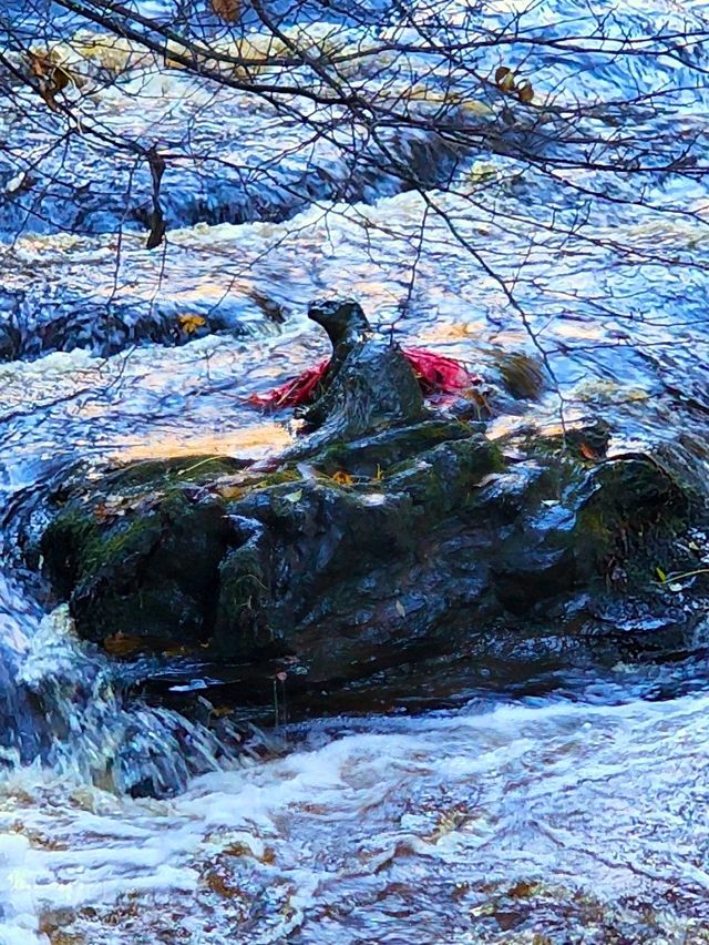 Edinburgh in Autumn Sunlight☀️ Edinburgh in Autumn Sunlight☀️