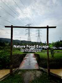 Nature Food Escape🌿