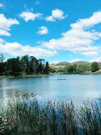 维州Benalla小鎮藝術漫游 -11月療癒打卡路線﻿