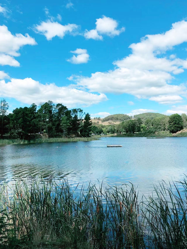 维州Benalla小鎮藝術漫游 -11月療癒打卡路線﻿