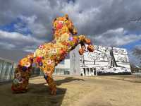 來青森、八戶，千萬不可錯過的「十和田市當代美術館」