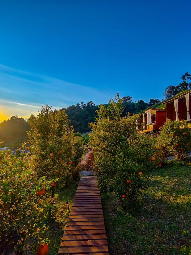 ผาปู่จอม แม่แตง เเชียงใหม ผาปู่จอม แม่แตง เเชียงใหม