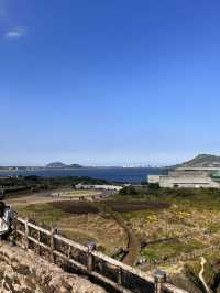 濟州島東岸-涉地可支