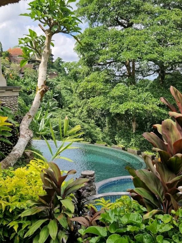 A GORGEOUS AND STUNNING RESORT IN BALI.