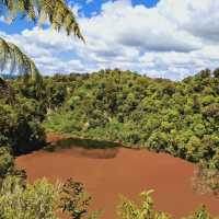🌋紐西蘭地熱探秘｜蒂普亞 Te Puia 必打卡壯觀間歇泉！