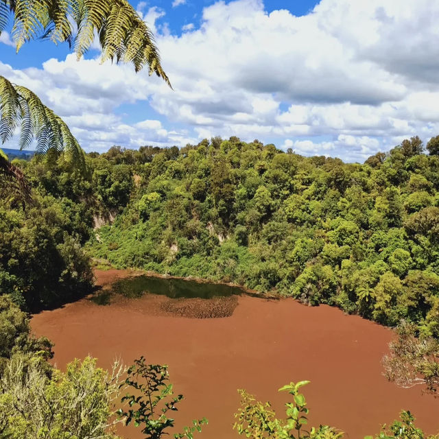 🌋紐西蘭地熱探秘｜蒂普亞 Te Puia 必打卡壯觀間歇泉！