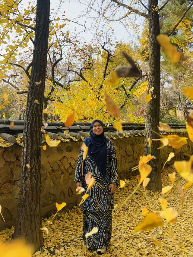 Fall for Korean Folk Village 🍂🎭