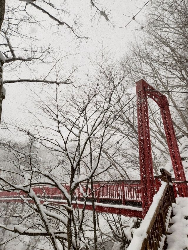 定山溪溫泉+萬世閣飯店 忘不了的北海道之旅