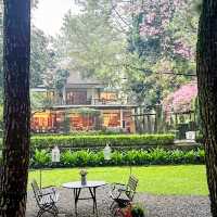 Nature-Lover’s Dream Stay: Cozy Hotel Review 🏡🌲