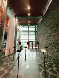 Northern Lights Find🌌