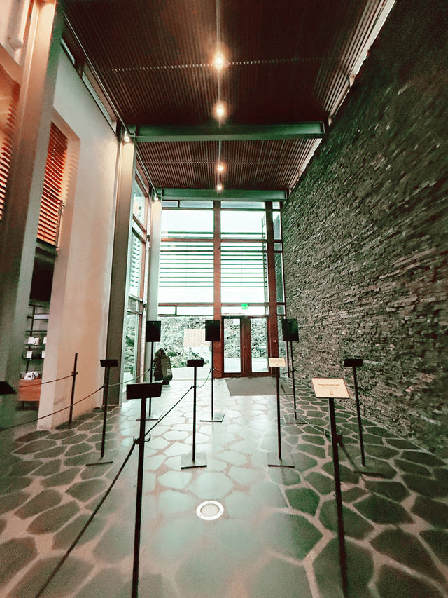 Northern Lights Find🌌 Northern Lights Find🌌