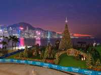 Where Urban Pulse Meets Festive Dream: The Enchantment of West Kowloon's Market