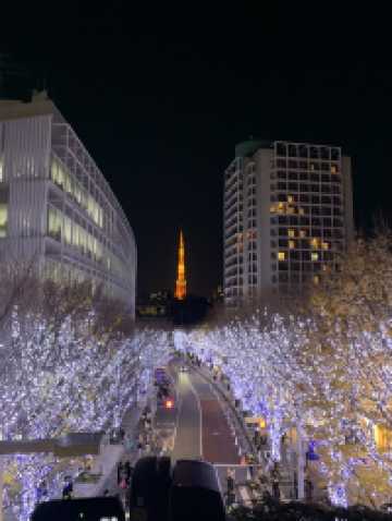 🎄日本東京｜六本木聖誕點燈 冬天限定的浪漫光之道