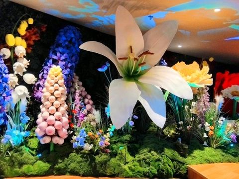 พื้นที่การจัดโซนดอกไม้ที่ NEXTOPIA สยามพารากอน พื้นที่การจัดโซนดอกไม้ที่ NEXTOPIA สยามพารากอน