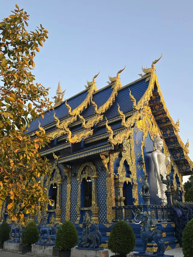 เที่ยววัดสวดเชียงราย วัดเสือร่องเต้น ✨