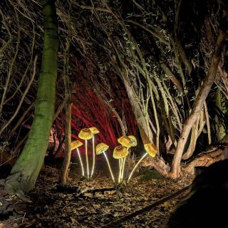 สวนที่สาบสูญแห่งเฮลิแกน