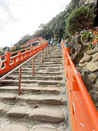 Beautiful Scenery Tour: Miyazaki Two-Day Trip