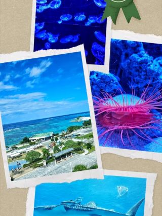 A Toddler's Island Hopping Trip from Ryukyu Castle to the Blue Waters of Okinawa