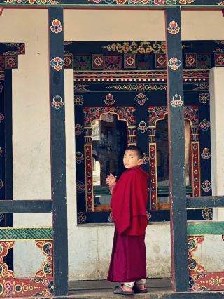 Gangtey Monastery: Mystical Vibes & Crane Magic in Bhutan 🏔️