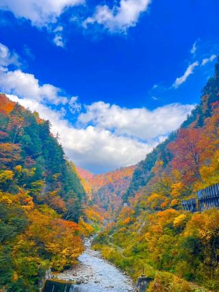 A windowless train is mind-blowing... The Kurobe Gorge Railway offered an otherworldly view.