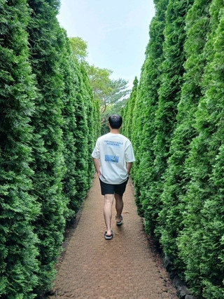 제주도 자유여행 꿀팁 (2편)