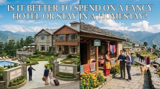 Fancy or budget hotel? 