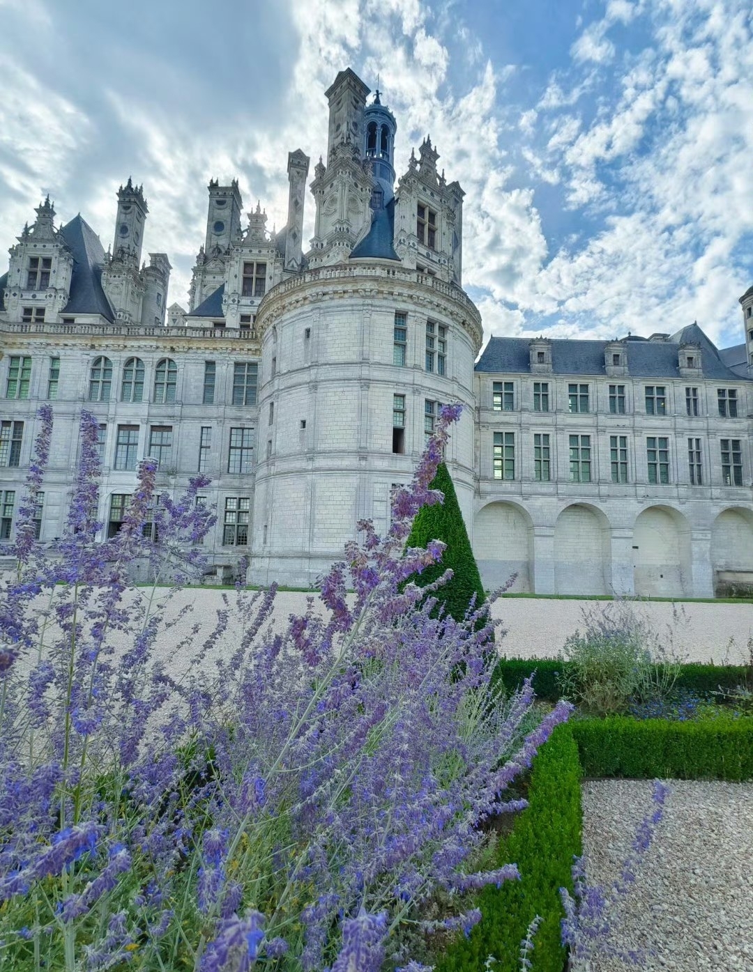 💜 Lavender at Château de Chambord | A Little Piece of Provence in the Loire Valley