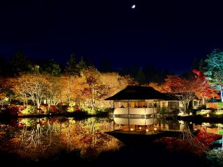 絵画のように美しい夜の日本庭園、水面に映る紅葉の絶景。
秋の夜を彩るイルミネーション 国営昭和記念公園 日本庭園 🌙🍁