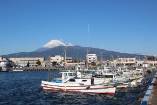 Numazu Travel Guide | Japan's Hidden Coastal Gem With Mount Fuji Views!