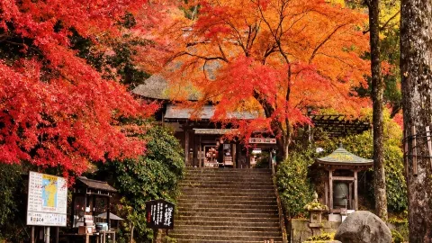 🍁2026年九州紅葉の見どころ|必見スポット8選 — traveler post in 水戸