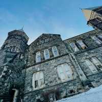 Stunning University of Toronto campus! 🤩 