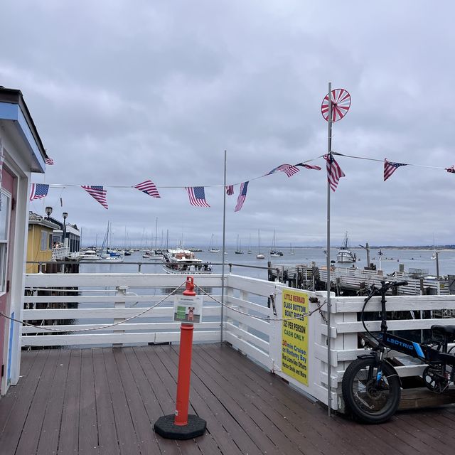 Whale watching at Monterey!