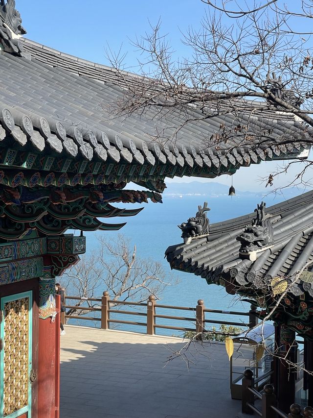 🌊멋있는 오션뷰를 감상할 수 있는 사찰 향일암!