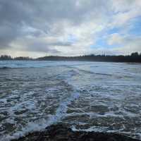 Beautiful & Refreshing Tofino!