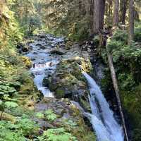 Olympic National Park in September 