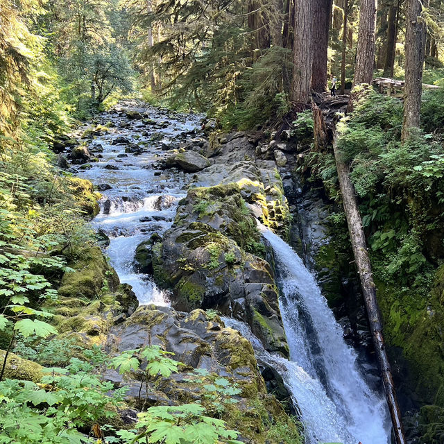 Olympic National Park in September 