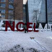 Amazing Winter lights trail Montreal