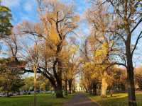 Melbourne winter is amazing !