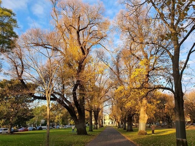 Melbourne winter is amazing !