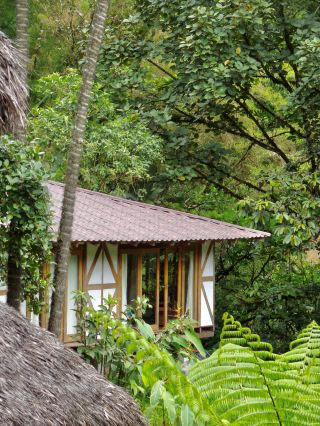 This Cloud Forest Lodge Is a Total Bucket List Vibe 🌿✨