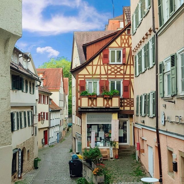 Tübingen: Where History and Academia Thrive