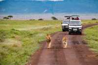 Destination Kenya