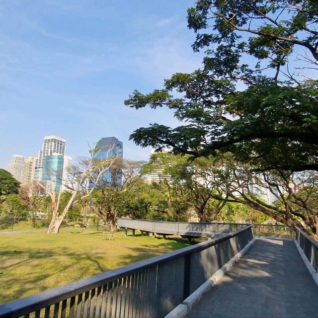 Benchakitti Park, Bangkok Thailand 🇹🇭